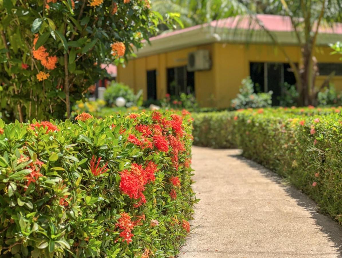 Hotel Isolina Beach ポトレロ エクステリア 写真