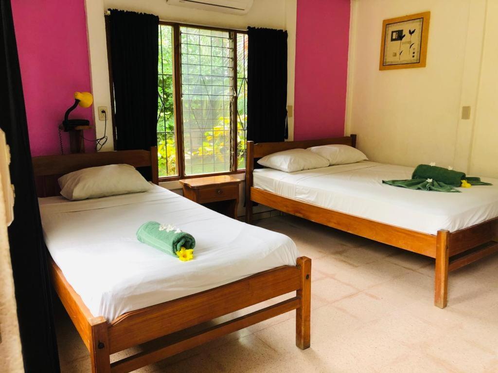 Hotel Isolina Beach ポトレロ エクステリア 写真