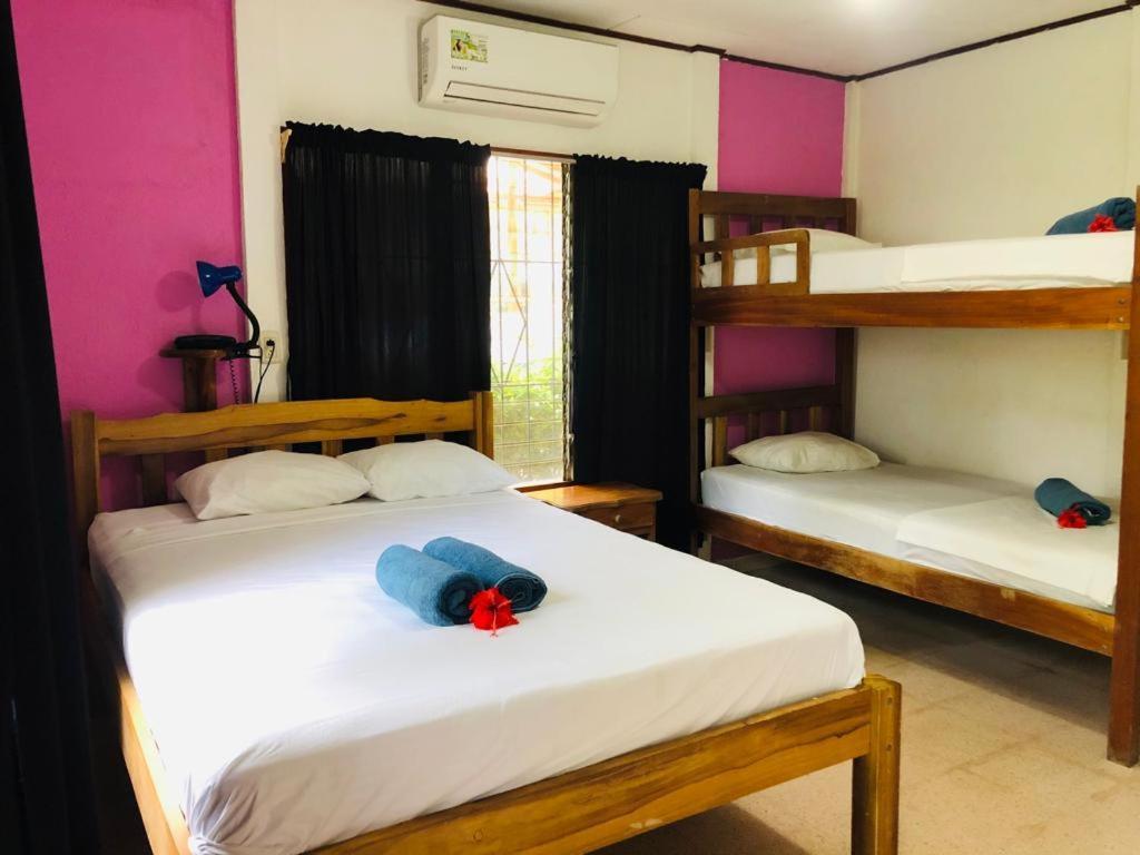 Hotel Isolina Beach ポトレロ エクステリア 写真