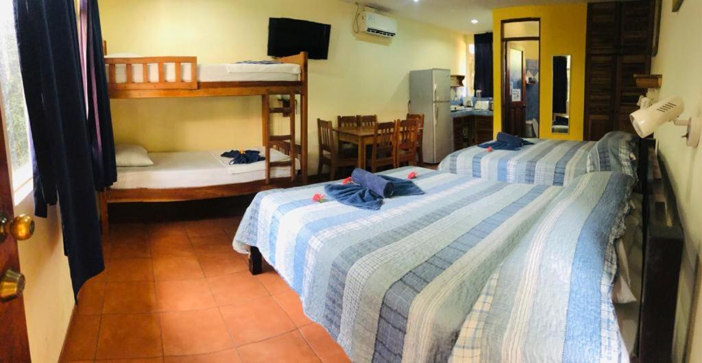 Hotel Isolina Beach ポトレロ エクステリア 写真