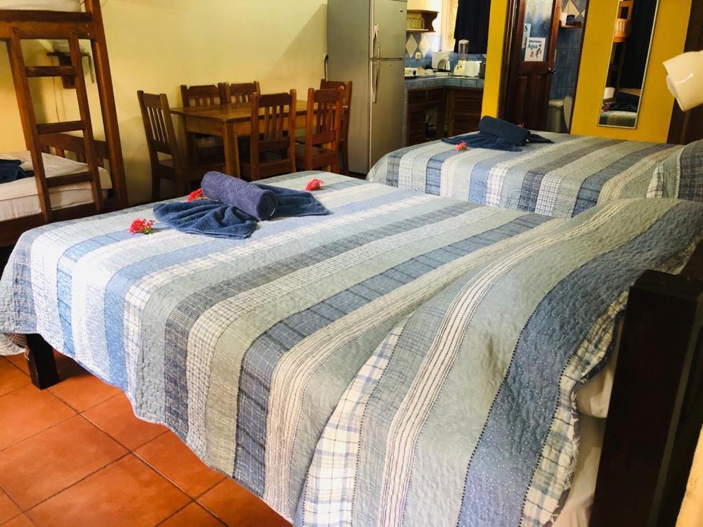 Hotel Isolina Beach ポトレロ エクステリア 写真