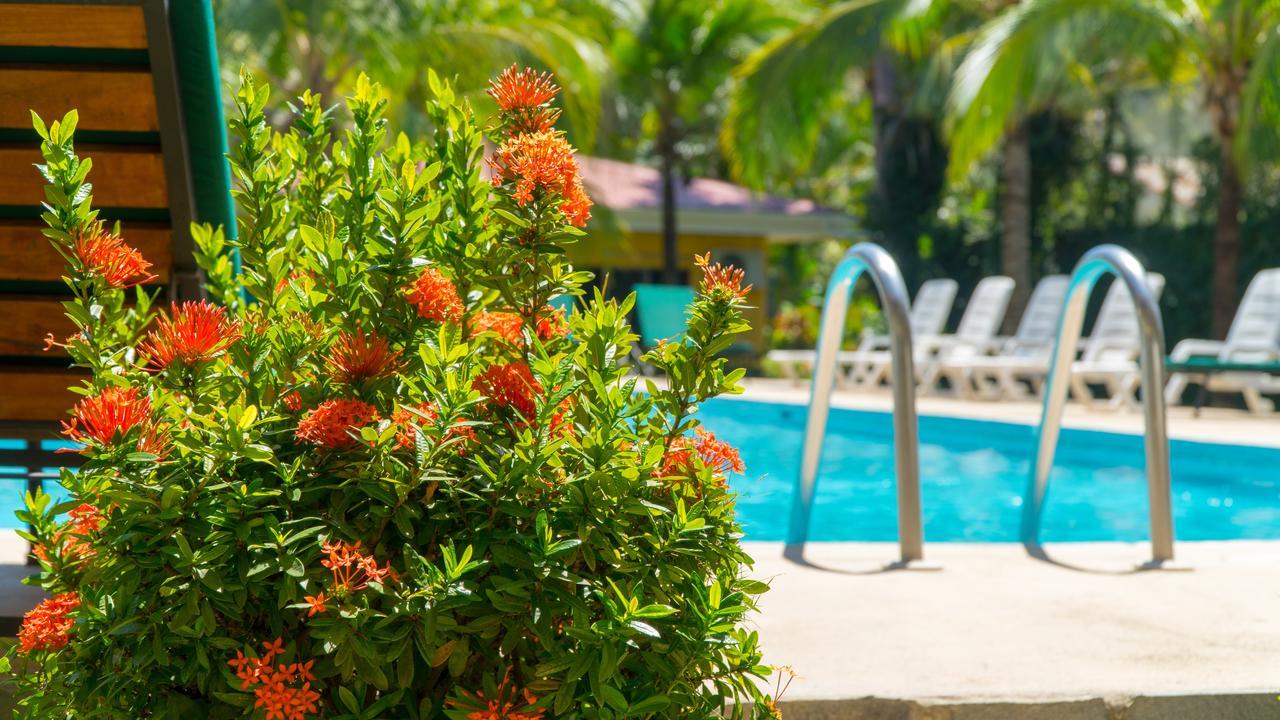 Hotel Isolina Beach ポトレロ エクステリア 写真